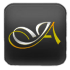 Jewel Arts 
